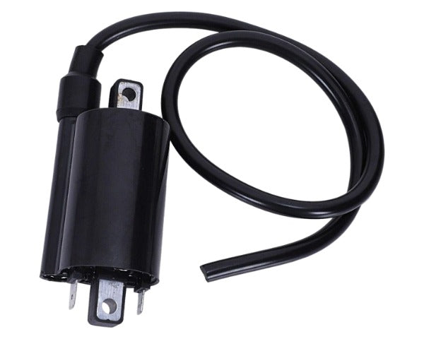 Kawasaki Ignition Coil #1 & 2 FD661D/620D/611D/590D/501D 21121