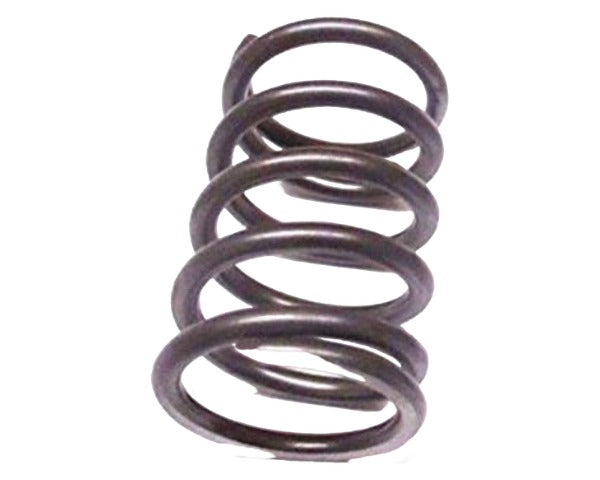 Kawasaki 49078-7002 Spring Engine Valve