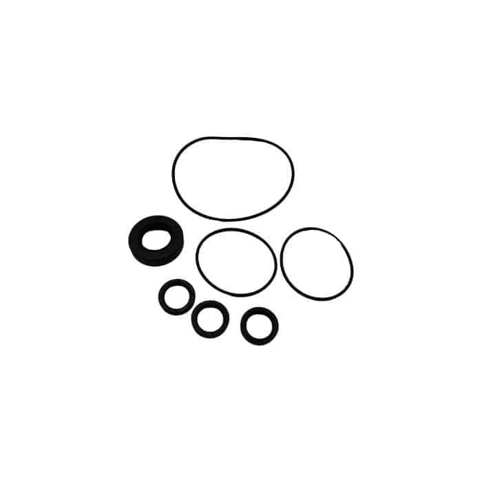 Vortexx RK Series Pump Oil Seal Kit AR1855