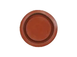 Chapin 6-8134 Plunger